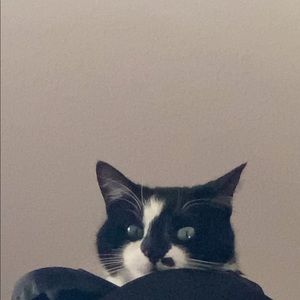 Meet your Posher, Kenny